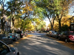 Chicago Fall Colors