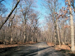 Entry to Thatcher Woods
